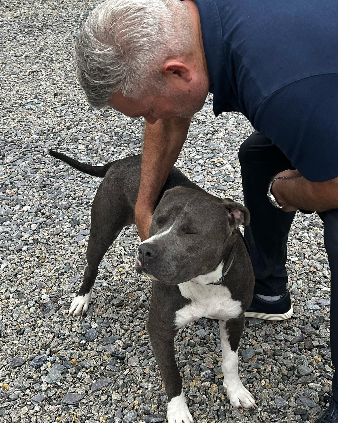 Beau’s Big Journey Home