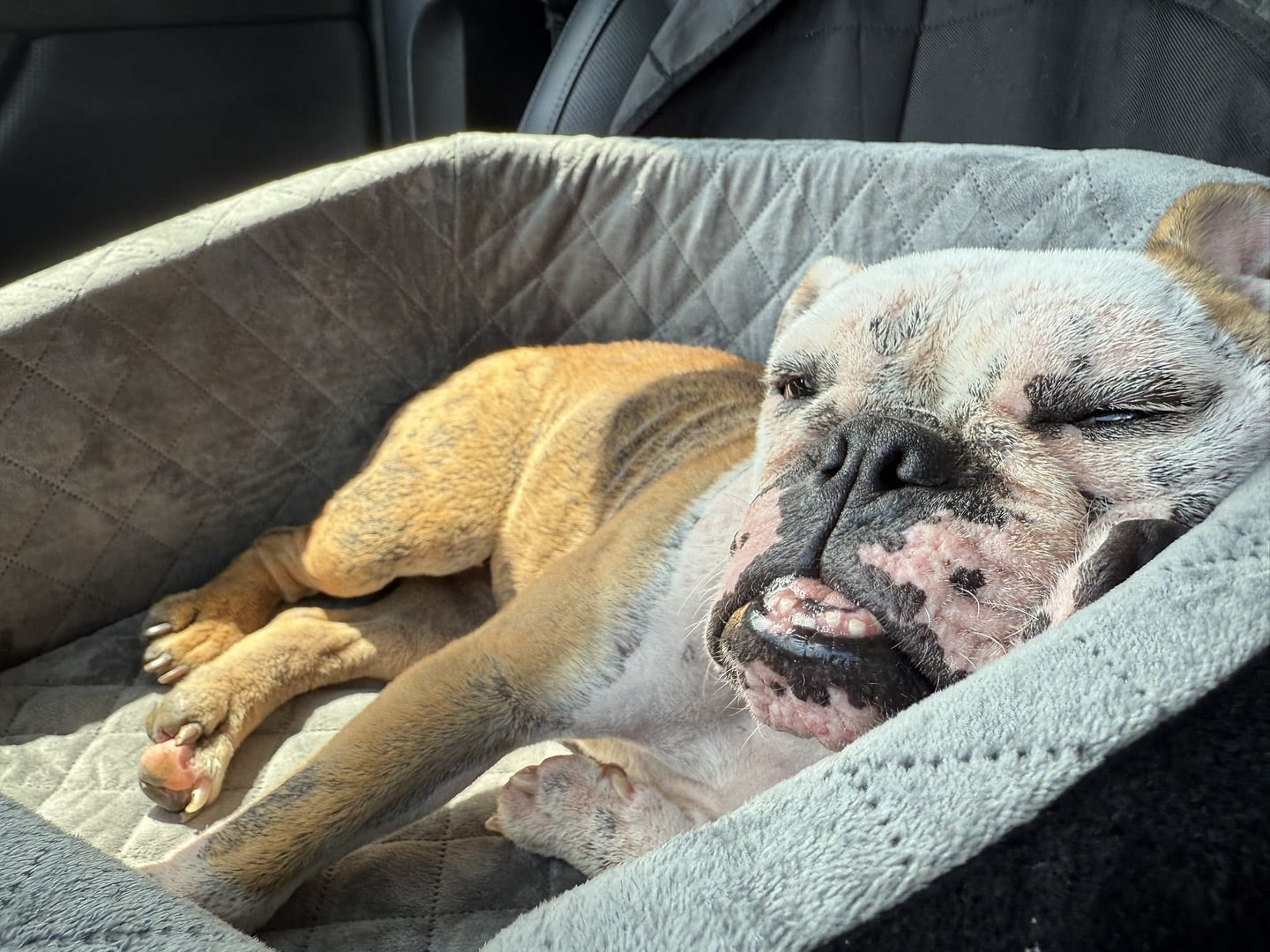 Pearl’s Fresh Start